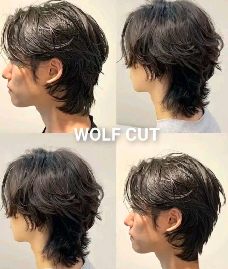Wolf Cut 